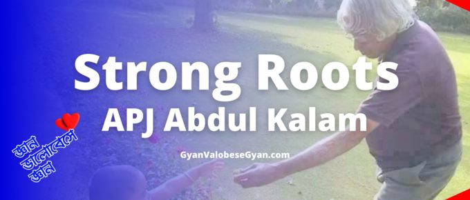strong roots questions and answers