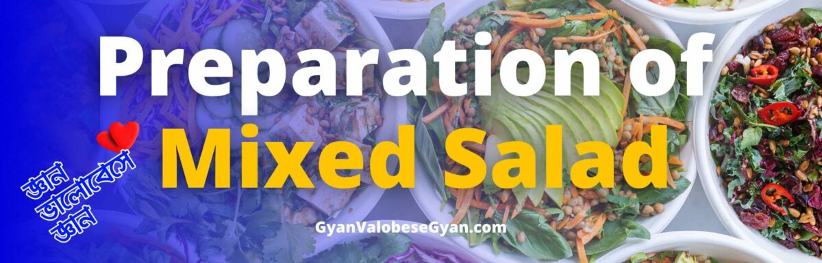 Use the following flow-chart and write a paragraph on the process of preparing mixed salad