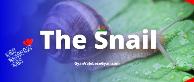 The Snail Complete Bengali Meaning। William Cowper । Summary । Class- 10 English । Madhyamik Text
