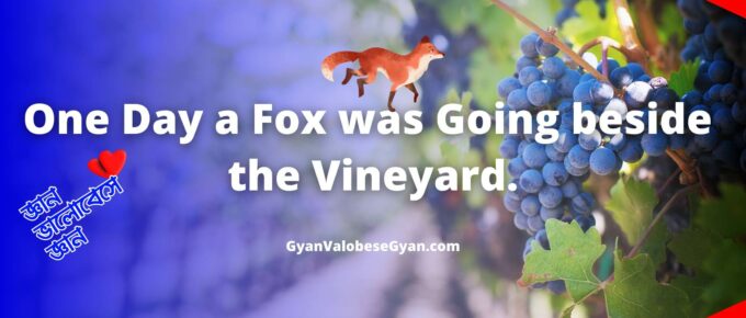 One day a fox was going beside the vineyard - Important Bonganubad for Madhyamik Exam । মাধ্যমিক পরীক্ষার জন্য গুরুত্বপূর্ণ বঙ্গানুবাদ