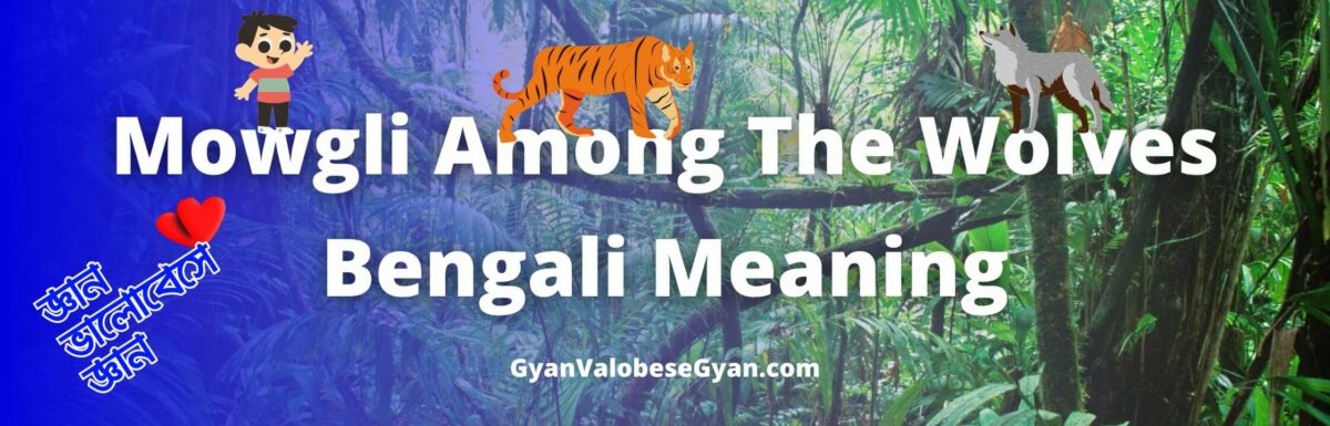 Mowgli Among The Wolves Class 7 Bengali Meaning | Rudyard Kipling | Unit-1 | Summary | বঙ্গানুবাদ