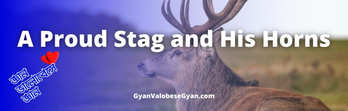A Proud Stag and His Horns – Write a Story with the Help of the Following Points