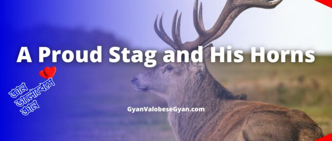 A Proud Stag and His Horns - Write a Story with the Help of the Following Points