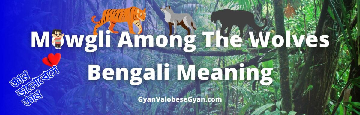 Mowgli Among The Wolves Class 7 Bengali Meaning | Rudyard Kipling | Unit-2 | Summary | বঙ্গানুবাদ