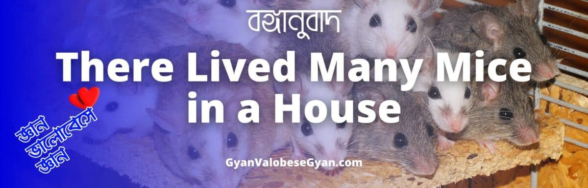 There lived many mice in a house – Important Bonganubad for Madhyamik Exam । মাধ্যমিক পরীক্ষার জন্য গুরুত্বপূর্ণ বঙ্গানুবাদ