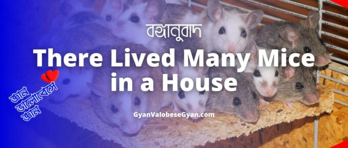 There lived many mice in a house - Important Bonganubad for Madhyamik Exam । মাধ্যমিক পরীক্ষার জন্য গুরুত্বপূর্ণ বঙ্গানুবাদ