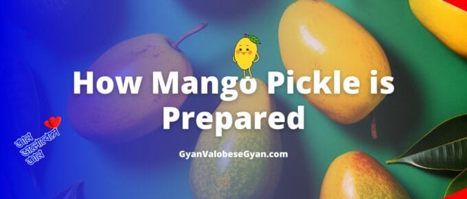 How Mango Pickle is Prepared - Study the following flow chart and describe how mango-pickle is prepared in about 100 words. august month post