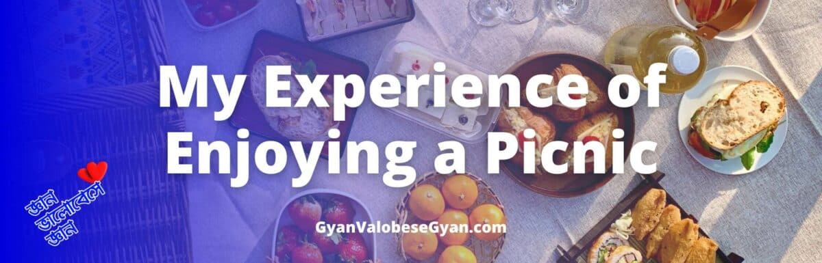 My Experience of Enjoying a Picnic – Describe in a short paragraph (within 80 words) your experience of enjoying a picnic. You may use the following hints: