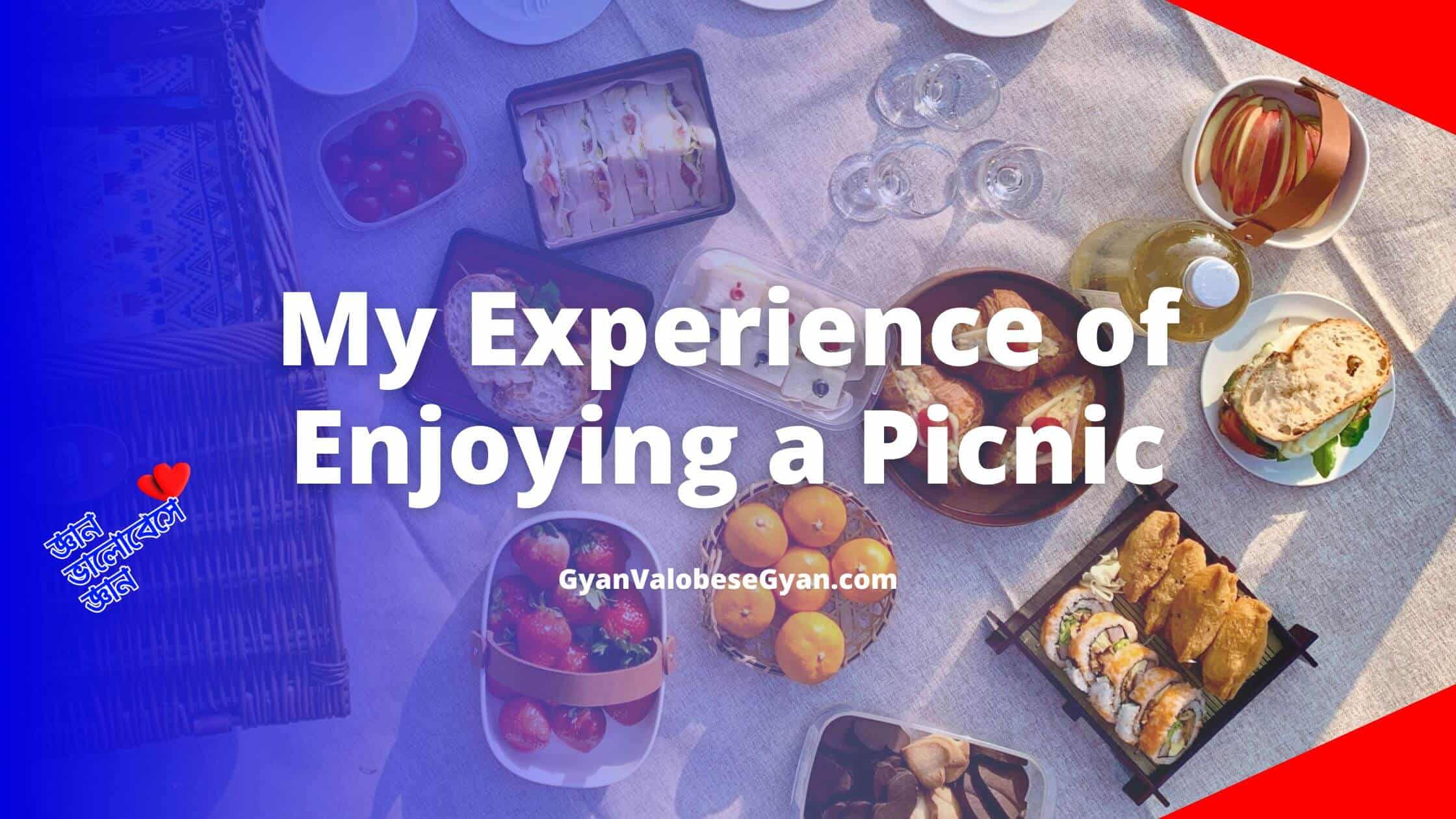My Experience of Enjoying a Picnic Describe in a short paragraph