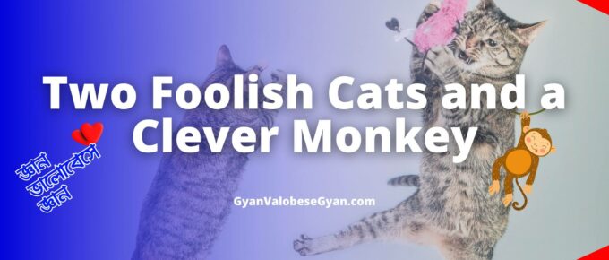 Two Foolish Cats and a Clever Monkey - Write a story in about 100 words using the given hints. Give a suitable title to the story: